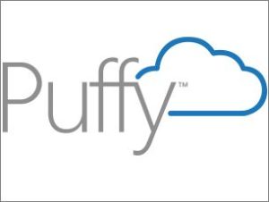 Online Mattress Store: Puffy Mattress
